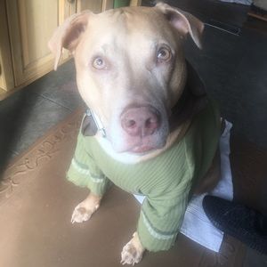 Meet your Posher, Miles